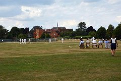 Cricket